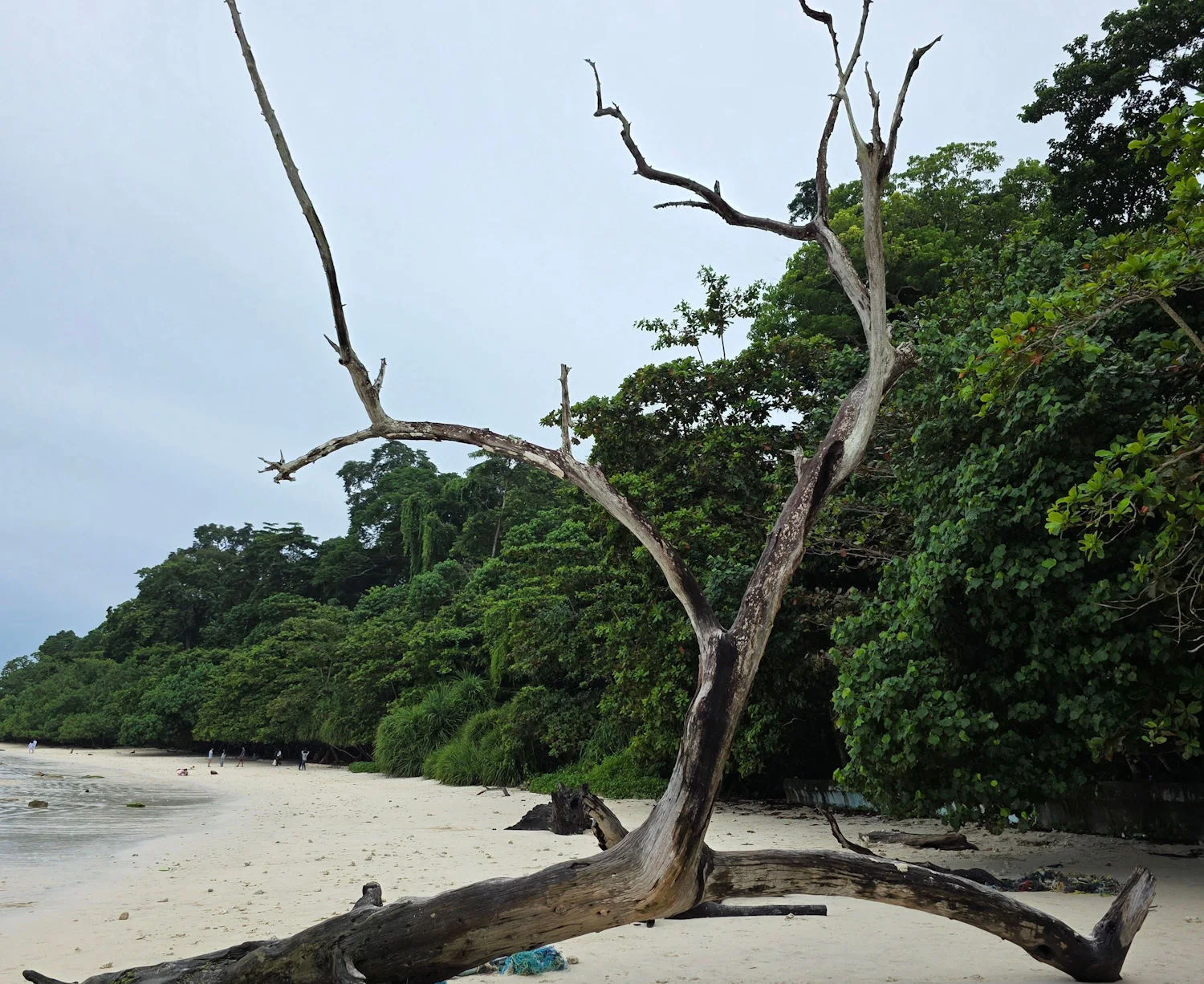 Andaman travel gallery