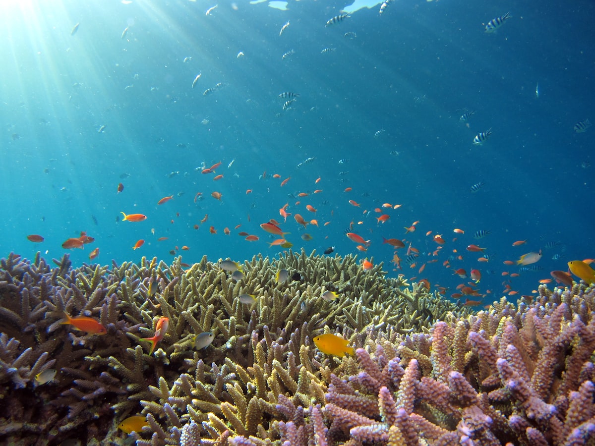 Sea Walk in Andaman