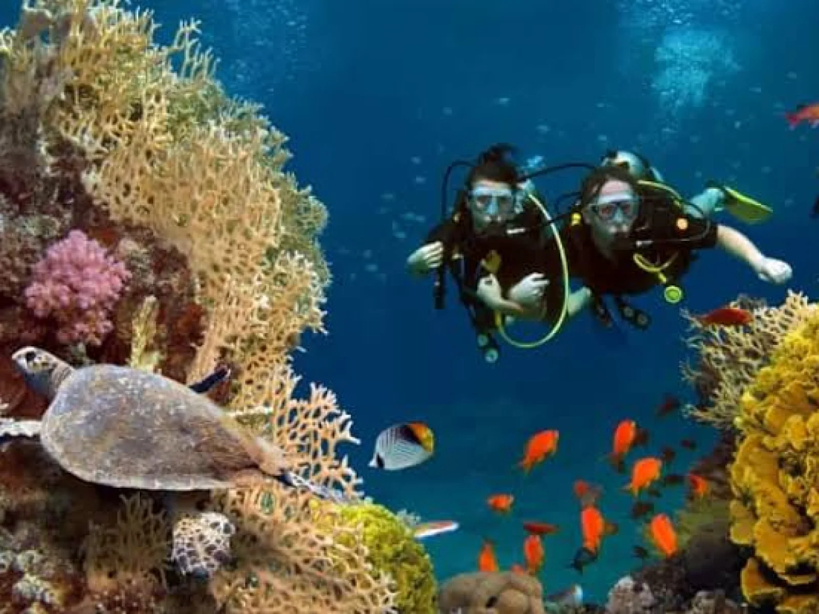 Andaman 7 Nights 8 Days Complete Island Holiday - image 4