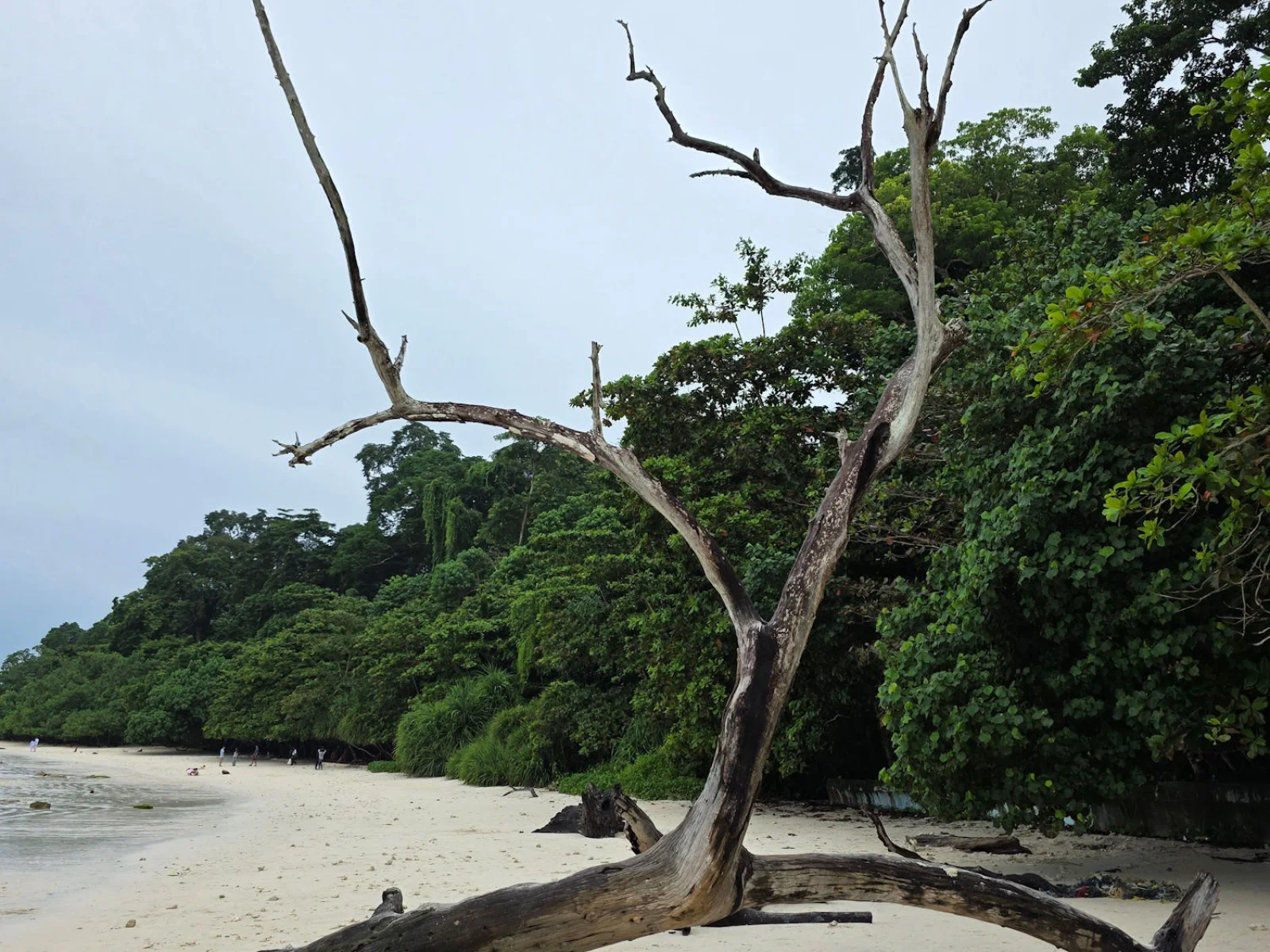 Andaman 4 Nights 5 Days Honeymoon