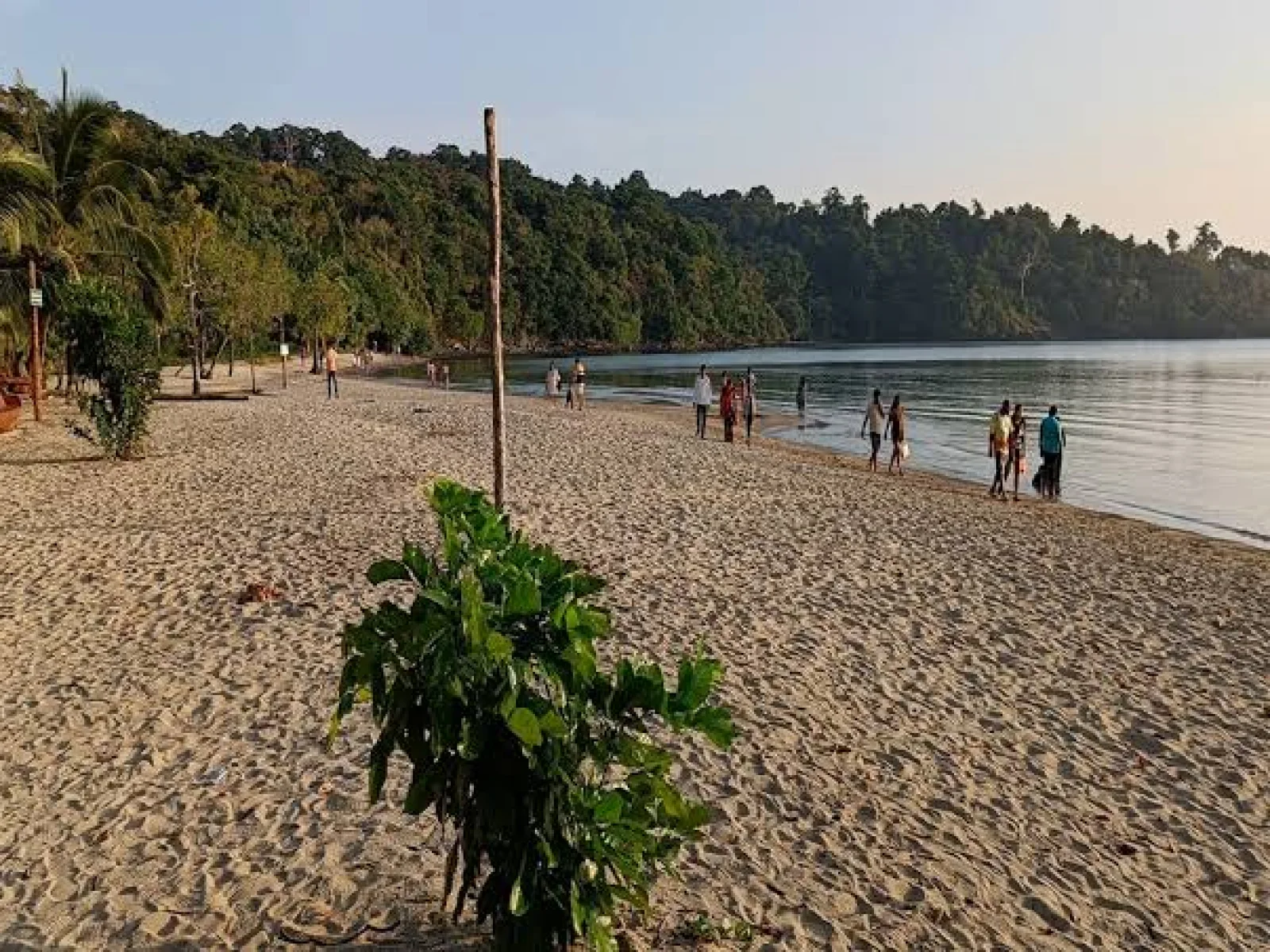 Andaman 5 Nights 6 Days Honeymoon Escape